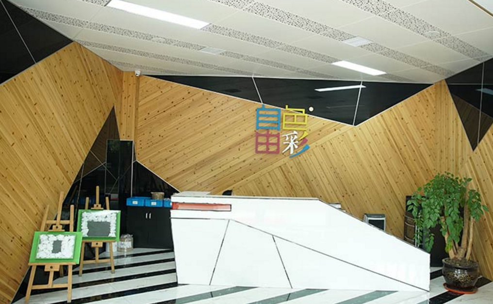 PA视讯游戏公司简介