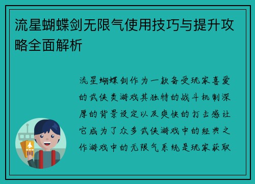 流星蝴蝶剑无限气使用技巧与提升攻略全面解析